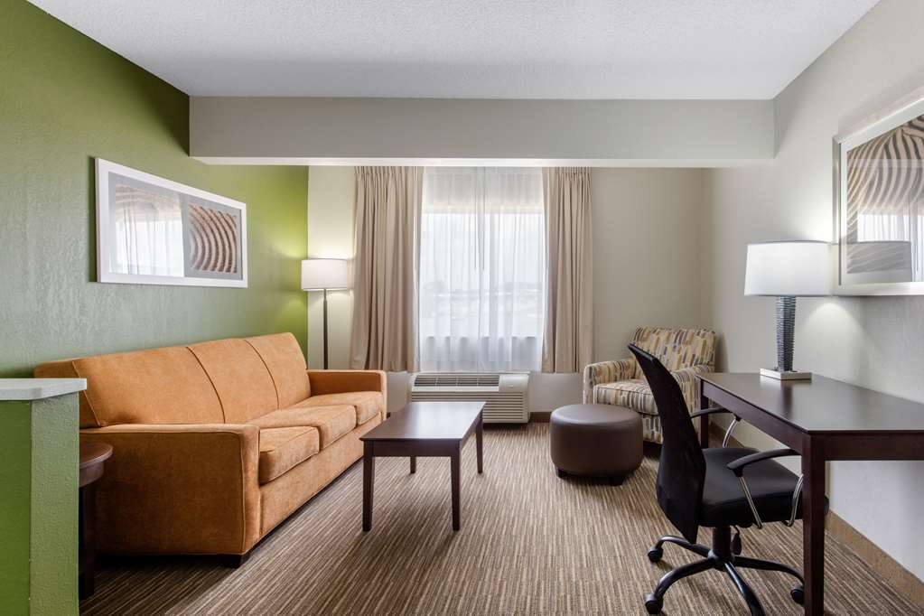 Quality Inn & Suites Mountain Home North - photo 19