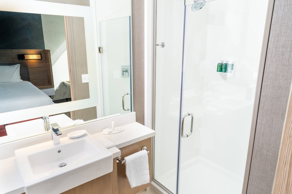 SpringHill Suites by Marriott Newark Fremont - photo 17