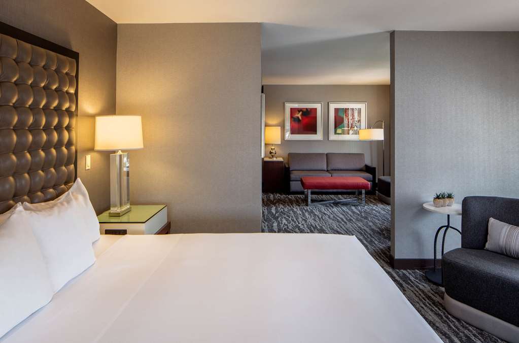Hyatt Regency St. Louis at The Arch - photo 16