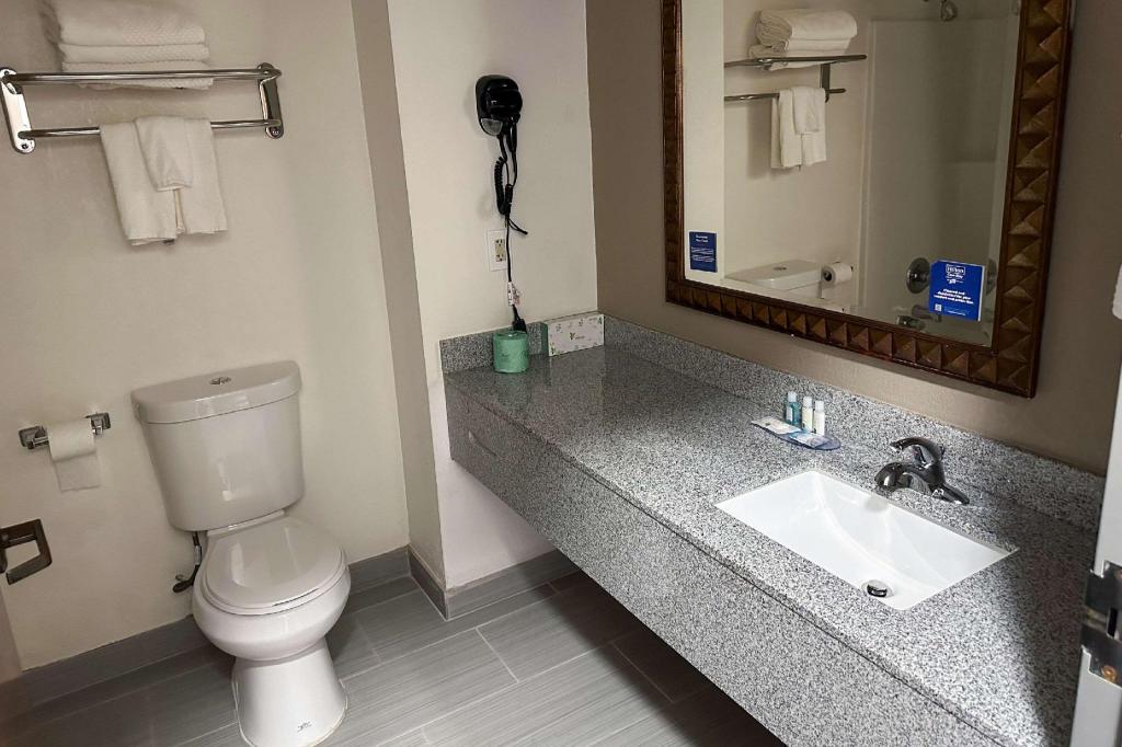 Quality Inn Inn Hazlehurst MS - photo 22