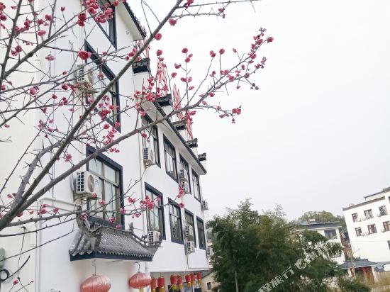 Taoyuan Villa outside bamboo in Huangshan, People's Republic of China