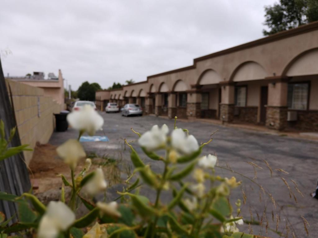 Bartlett Motel - photo 4