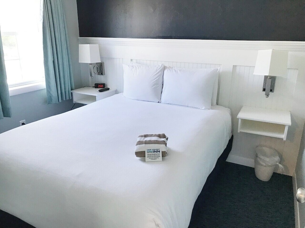 Cape Colony Inn - photo 18