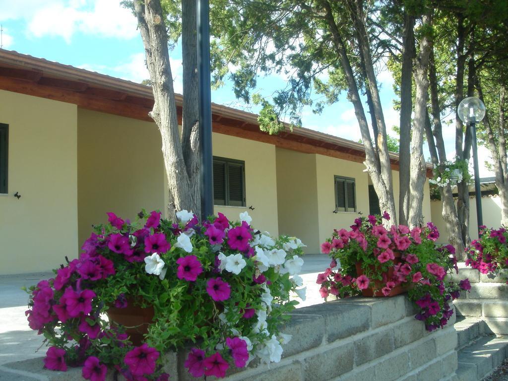 Samarcanda in Civitavecchia, Italy