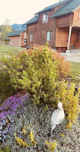 Karpatskyi Teremok in Verkhovyna, Ukraine