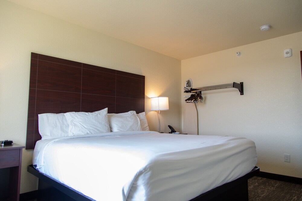 Cobblestone Inn & Suites of Springfield - photo 20