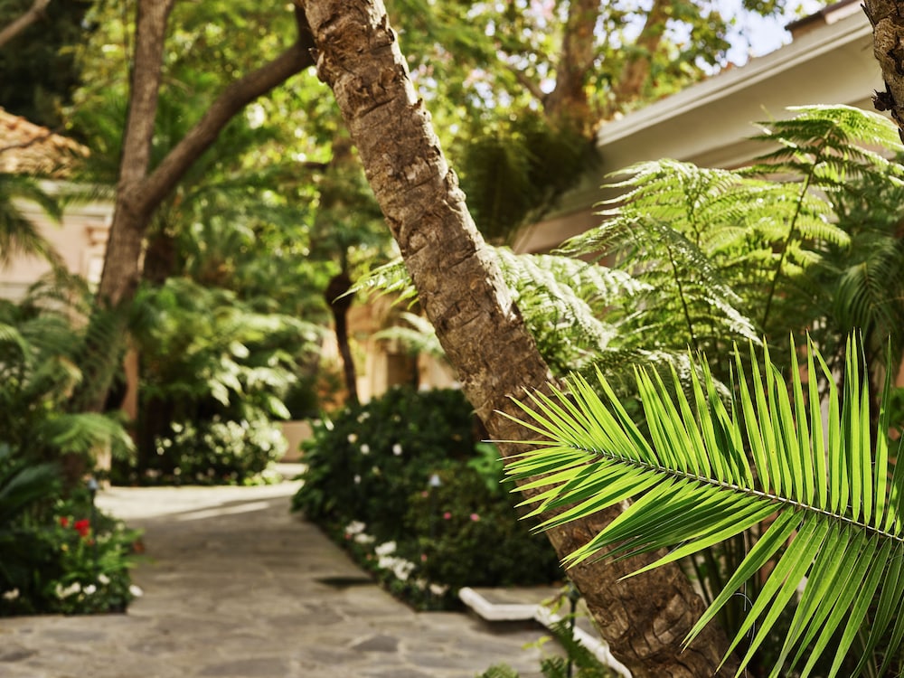 Hotel Bel Air Dorchester Collection - photo 151