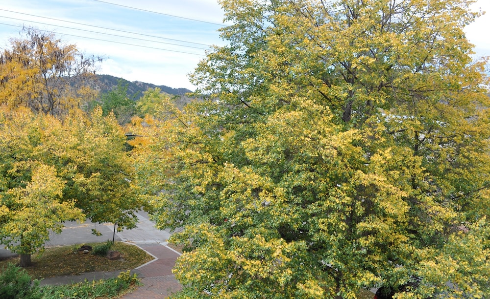 Bradley Boulder Inn - photo 23