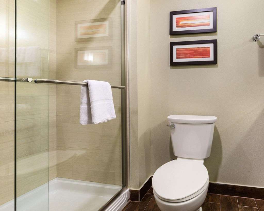 Comfort Suites near Westchase on Beltway 8 - photo 9