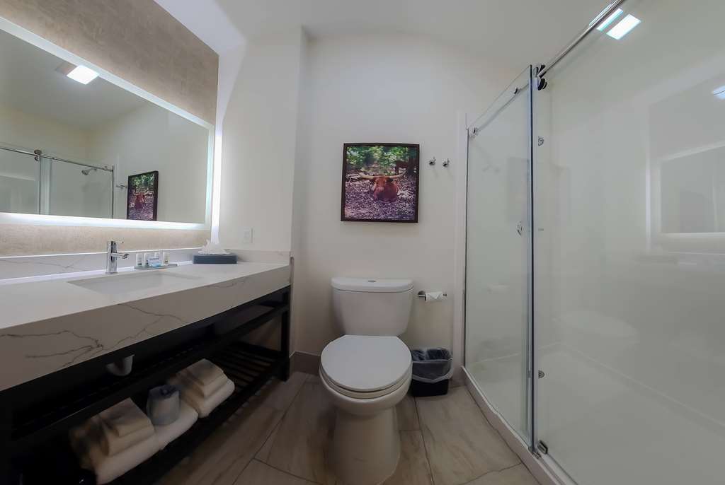 La Quinta Inn & Suites by Wyndham Dallas Mesquite - photo 43