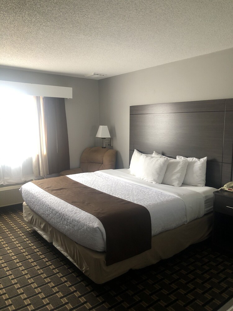 Adams Inn - photo 7