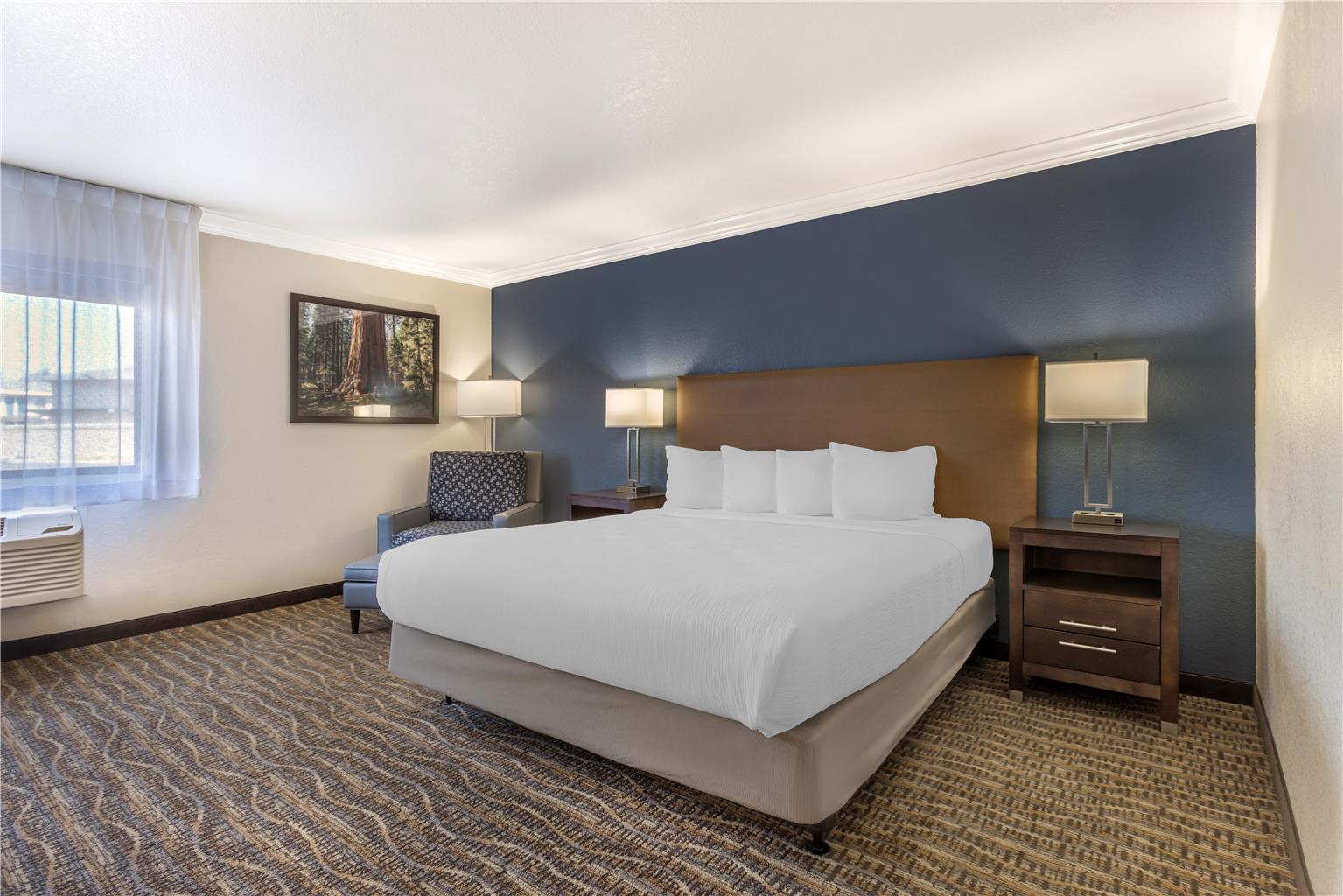 Best Western Town & Country Lodge - photo 17