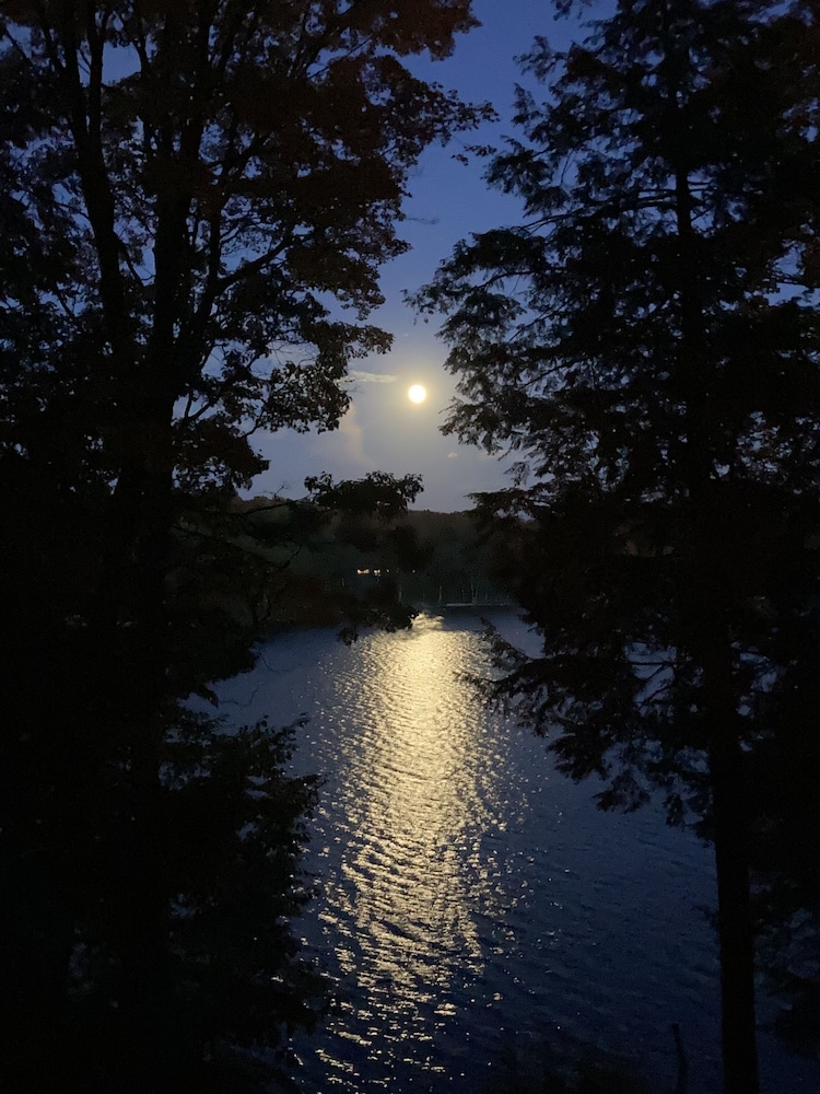 Dixon Lake Resort - photo 48