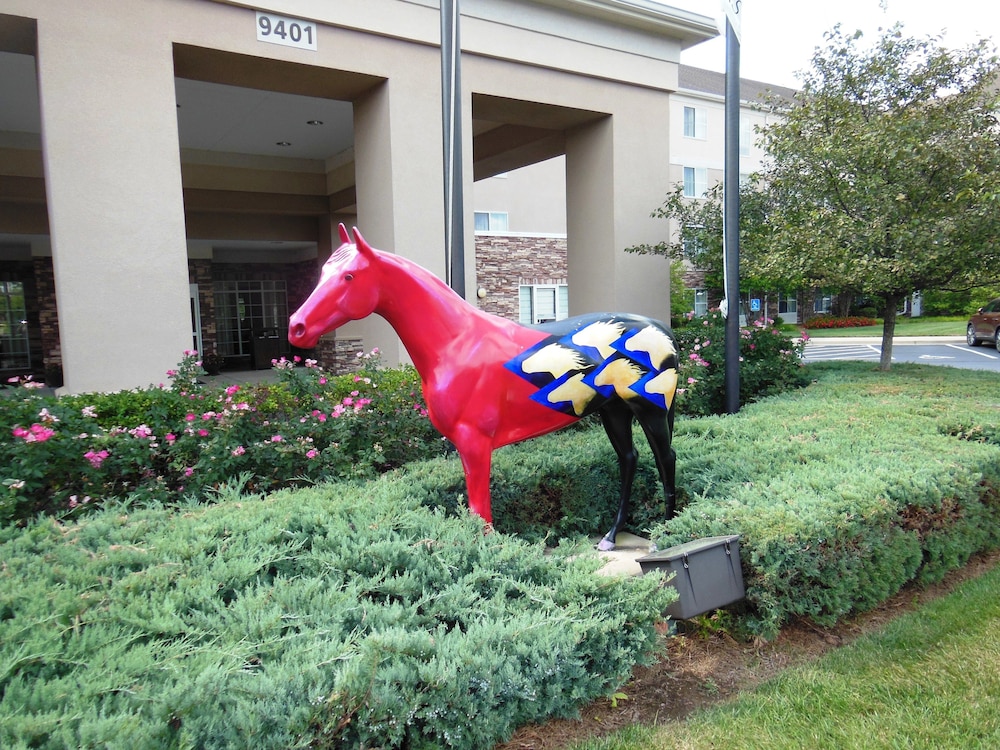 Homewood Suites by Hilton Louisville East - photo 72
