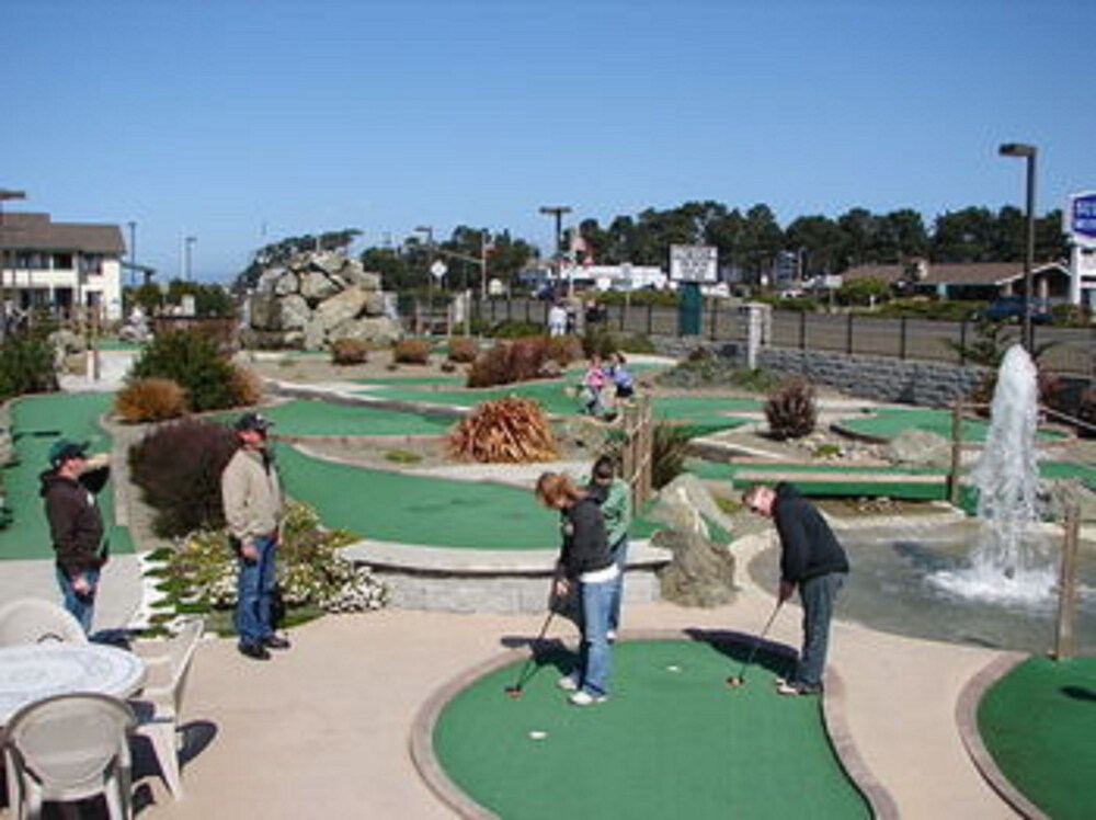 Emerald Dolphin Inn & Mini Golf - photo 27