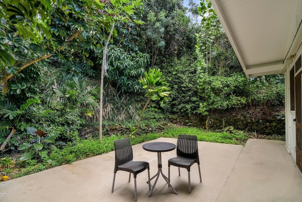 Koana Breeze - photo 38