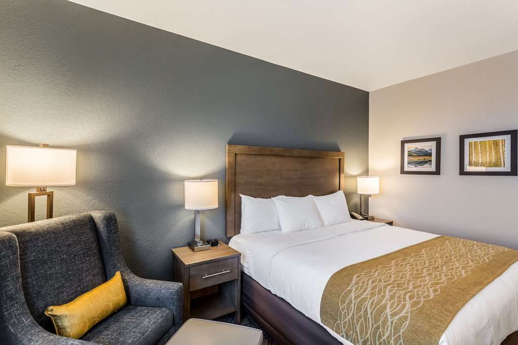 Comfort Inn & Suites Salt Lake City Airport - photo 13
