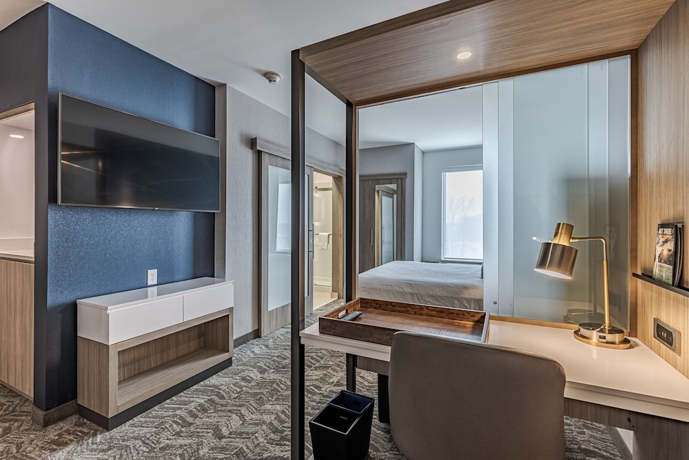 SpringHill Suites by Marriott Detroit Sterling Heights - photo 9