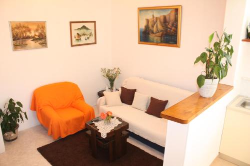 Apartment Anand