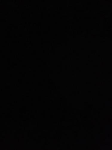 Wooing Tree Beauty in Cromwell, New Zealand