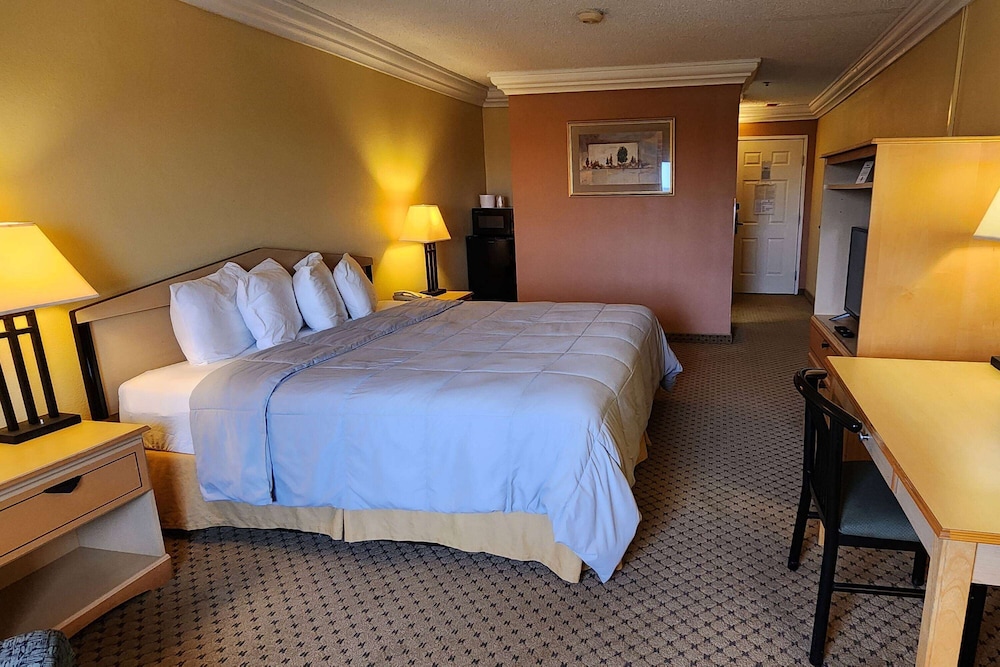 Super 8 by Wyndham Temple I 35 - photo 13