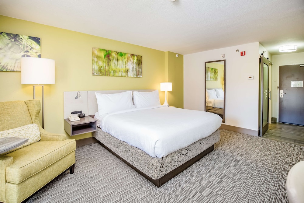 Hilton Garden Inn Orange Beach Beachfront - photo 42