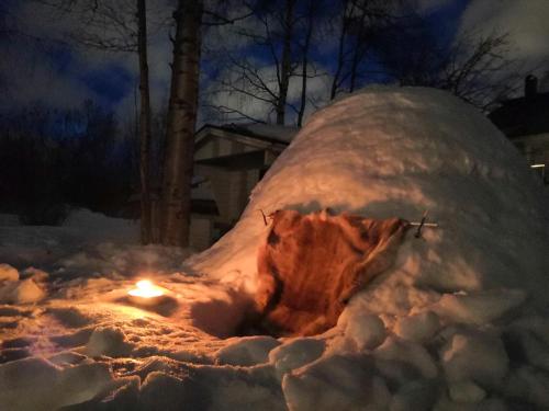 Authentic Wooden House by the River with an Igloo — 4-Star Luxury Hotel in Rovaniemi, Finland