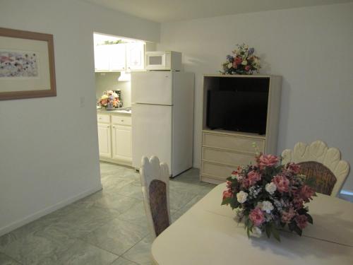 Apollo Resort Motel - photo 12