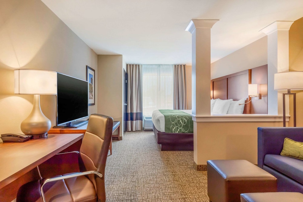Comfort Inn & Suites Schenectady Scotia - photo 16