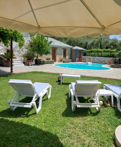 The Cocoon and olives Hut — hotel in Koropi