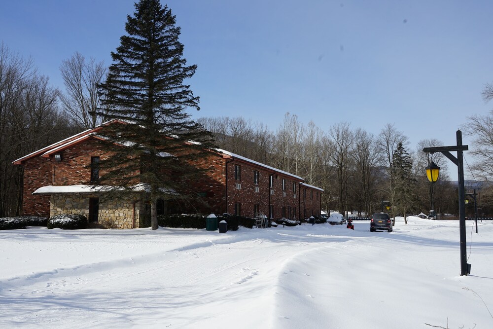 World Vacation Hotel - photo 22