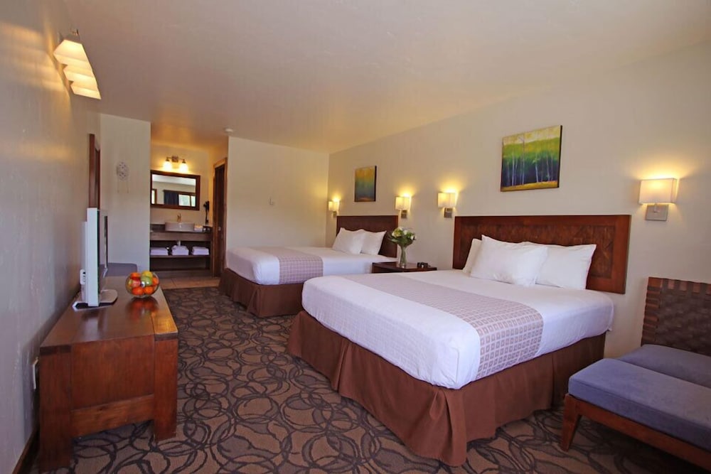 Mount Princeton Hot Springs Resort - photo 13