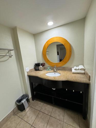 River Palm Hotel - photo 15