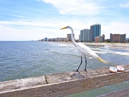 Oceanfront Retreat w Stunning Views Myrtle Beach - photo 42