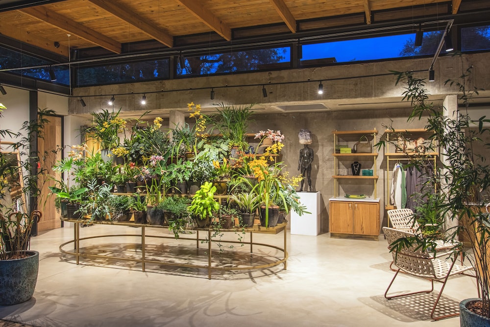 Lodge Lion Sands Ivory Lodge