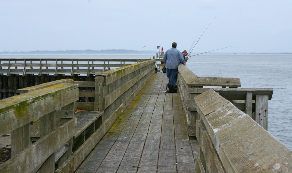 Islander Westport - photo 87