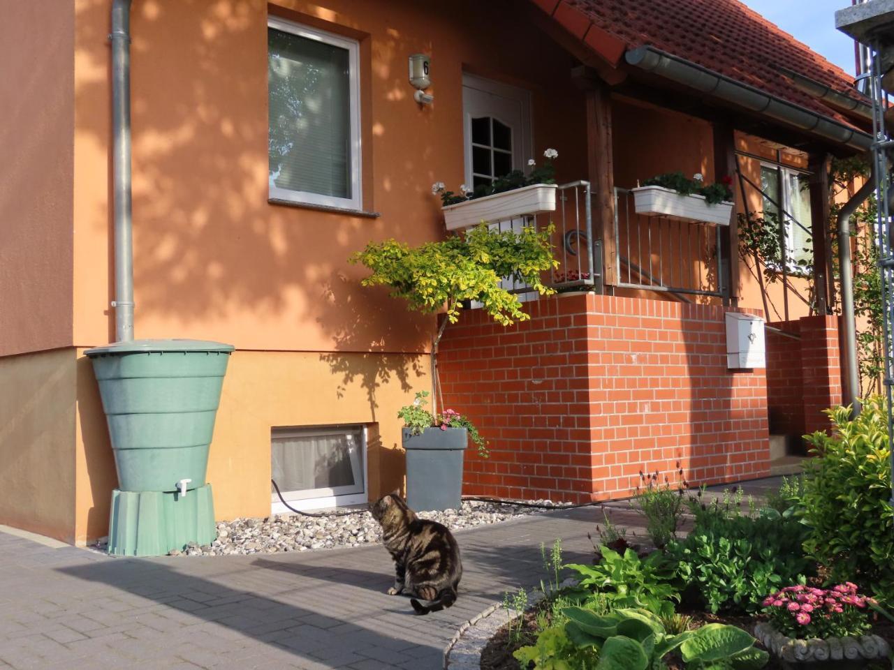 Ferienhaus Sava — Unknown City — photo 3