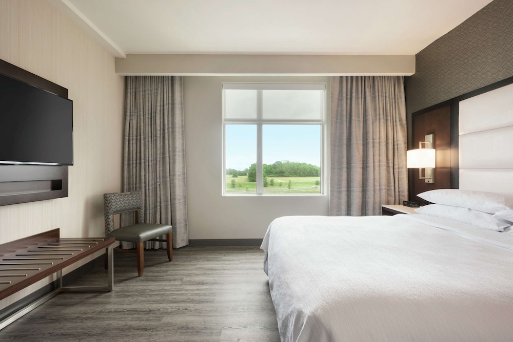 Embassy Suites by Hilton Noblesville Indianapolis Convention Center - photo 19