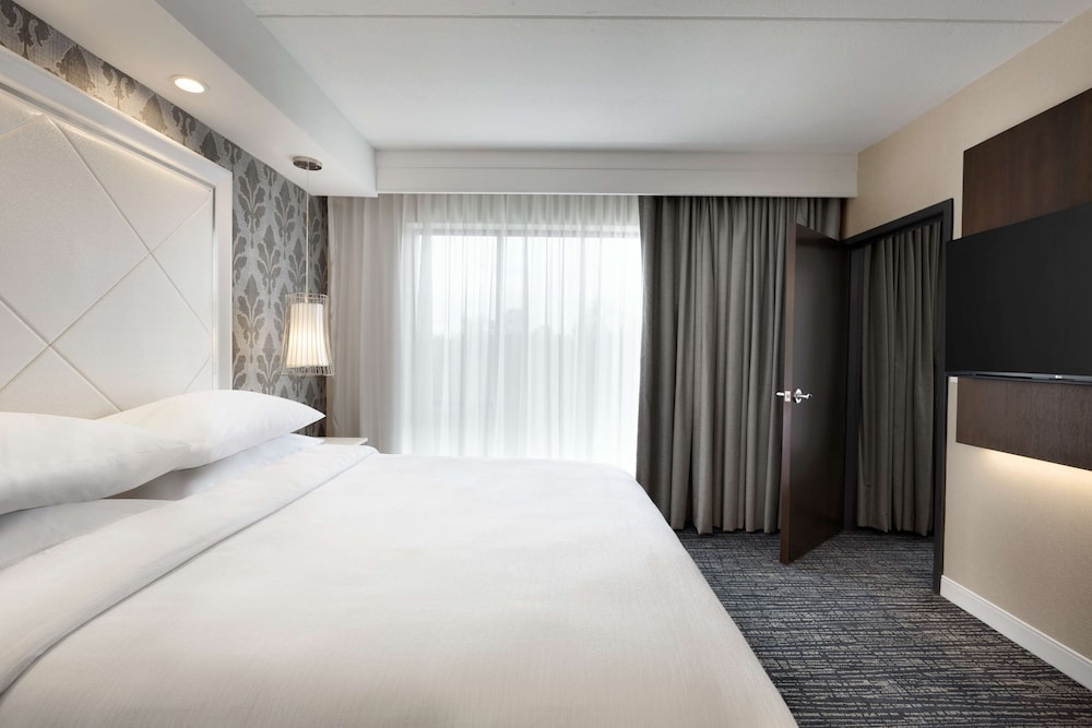 Embassy Suites by Hilton Atlanta NE Gwinnett Sugarloaf - photo 11