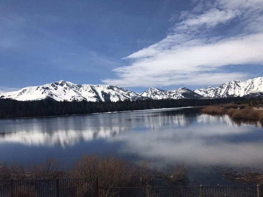 Mv1: Mount Tallac Estate 010630 - photo 29