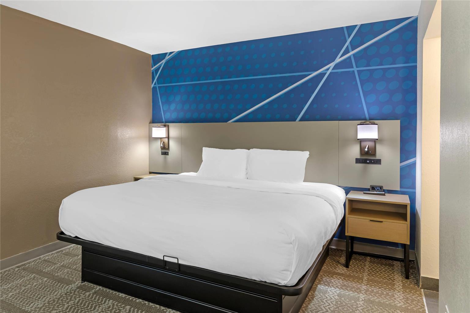 Comfort Inn & Suites Savannah Airport - photo 26
