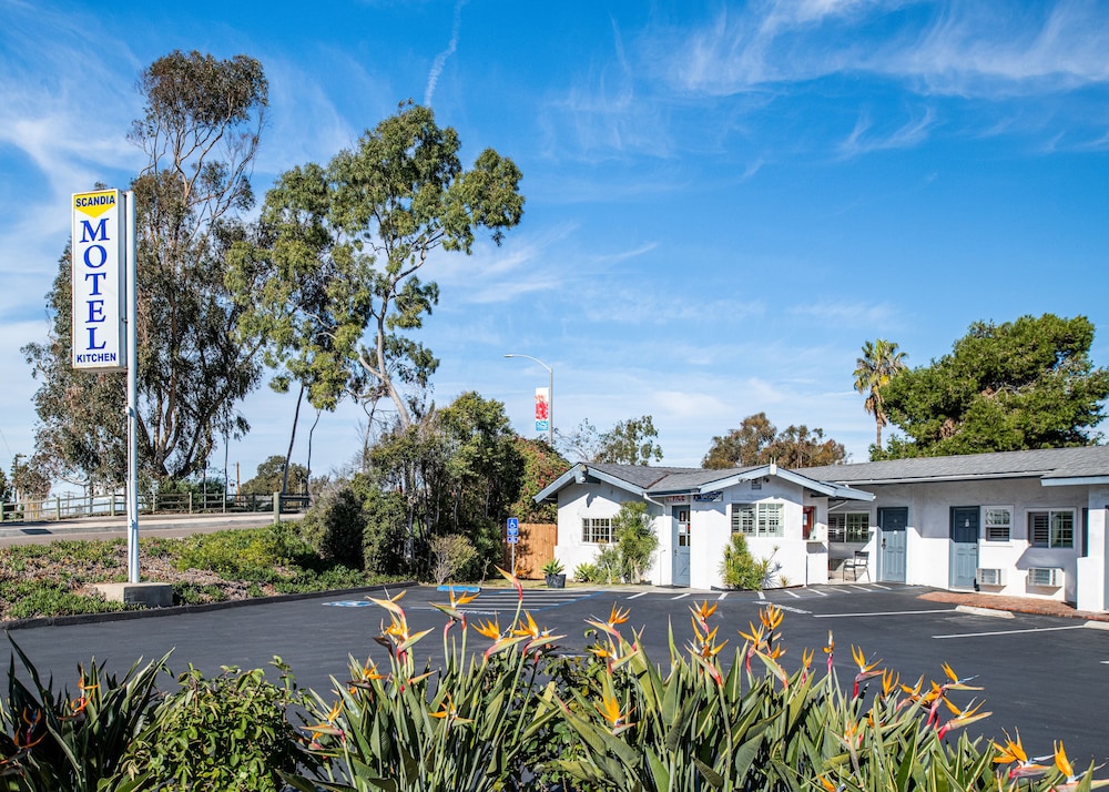 Scandia Motel - photo 24