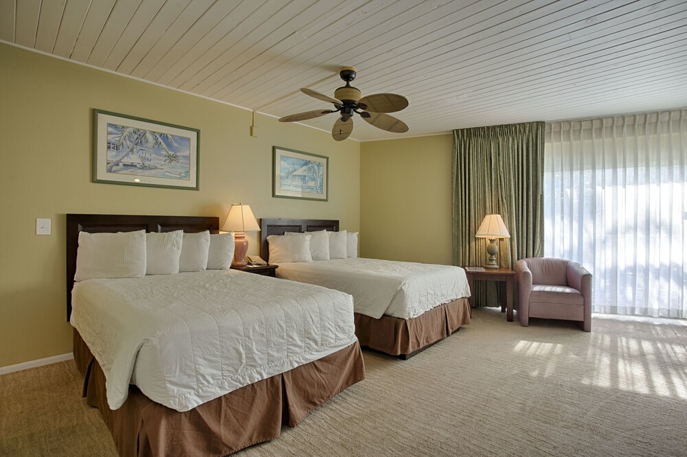 Coquina On The Beach - photo 18