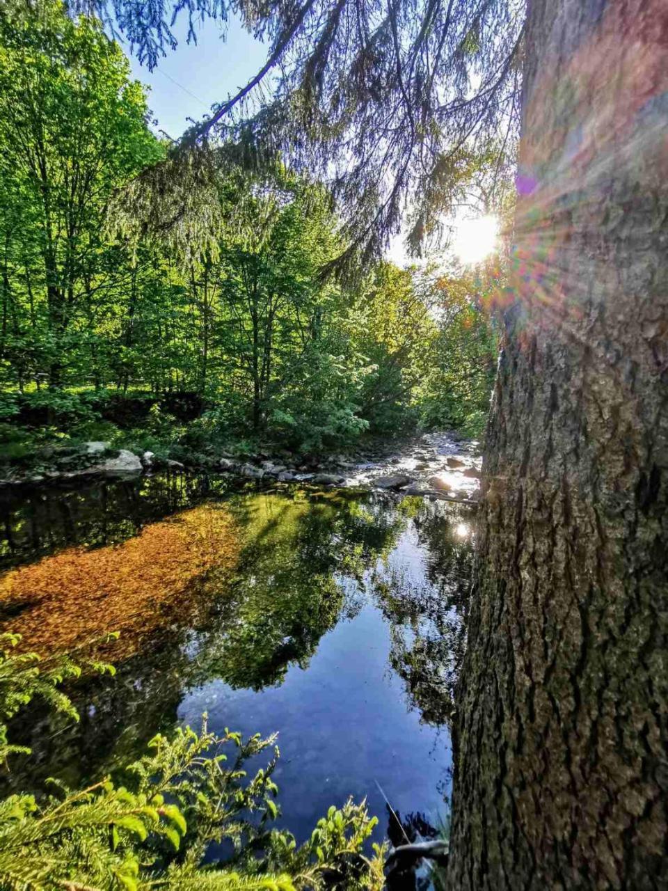 Chata Pelikán in Loucna Nad Desnou, Czech Republic