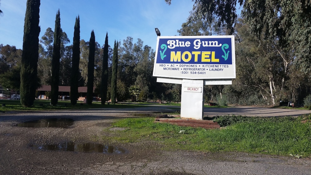 Blue Gum Motel - photo 36