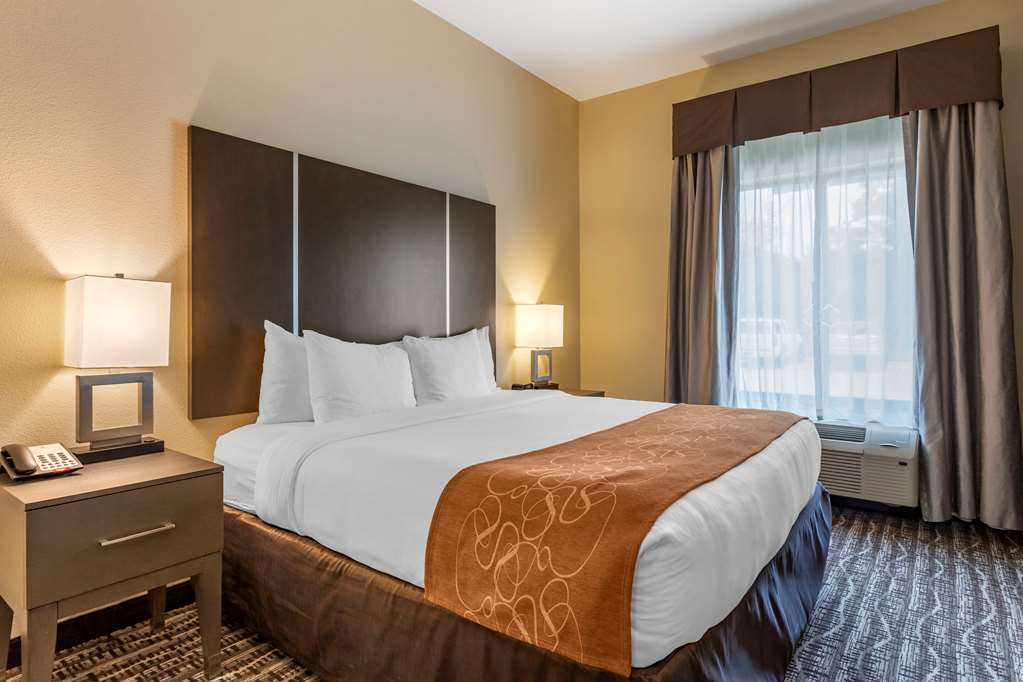 Comfort Suites Near Sam Houston Race Park - photo 3