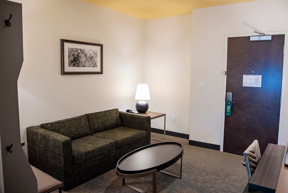 Holiday Inn Hotel & Suites Savannah Airport Pooler - photo 29