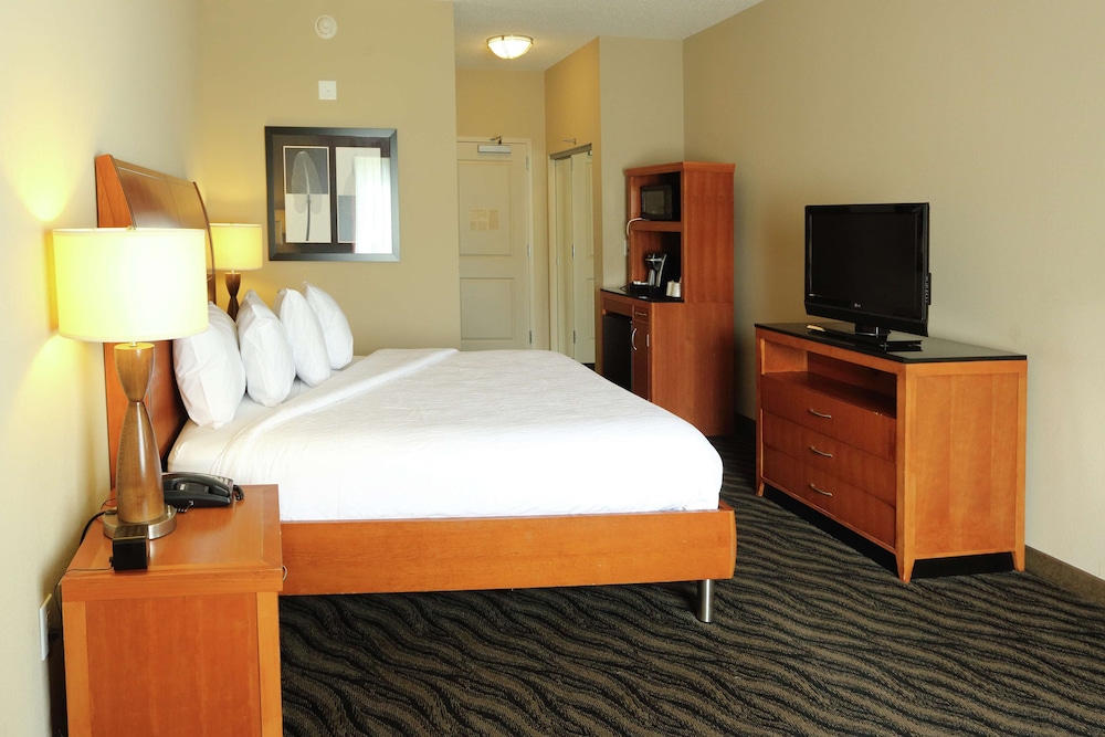 Hilton Garden Inn Chesapeake Suffolk - photo 6