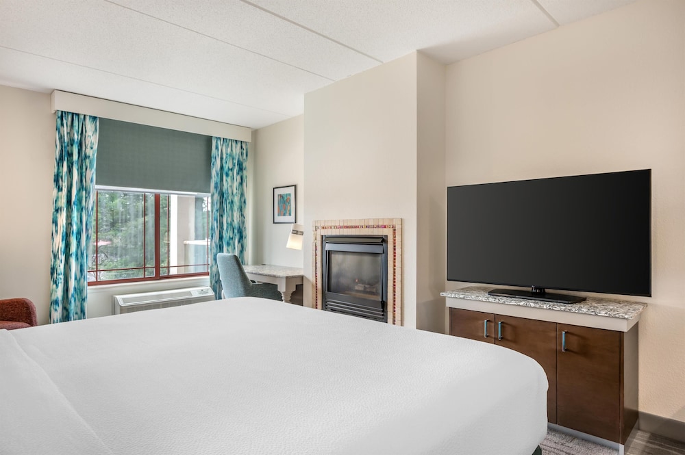 Hilton Garden Inn Wisconsin Dells - photo 50