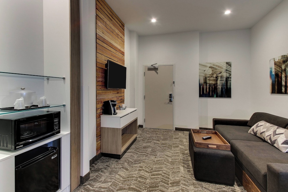 SpringHill Suites by Marriott Montgomery Downtown - photo 16